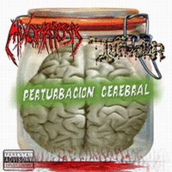 Mixomatosis : Perturbacion Cerebral